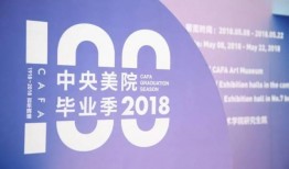 中央美院爆料视频下载,揭秘艺术教育背后的真相